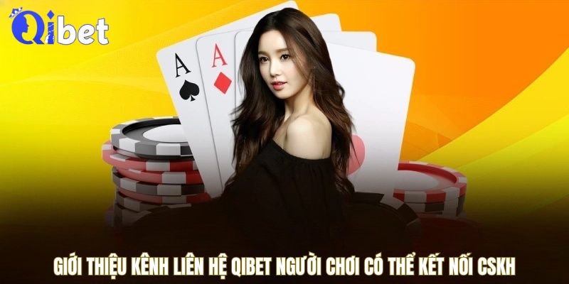 lien-he-qibet-avt