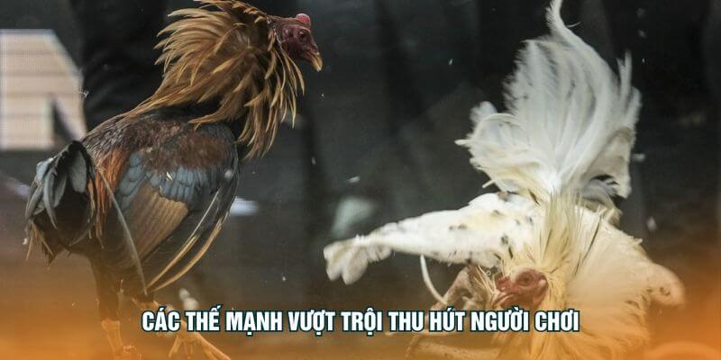 Các thế mạnh vượt trội thu hút người chơi Các thế mạnh vượt trội thu hút người chơi