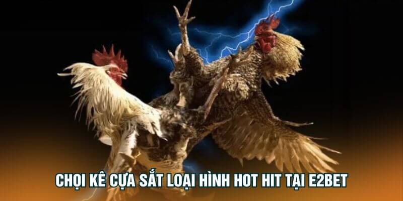 Chọi kê cựa sắt loại hình hot hit tại đá gà E2Bet Chọi kê cựa sắt loại hình hot hit tại đá gà E2Bet