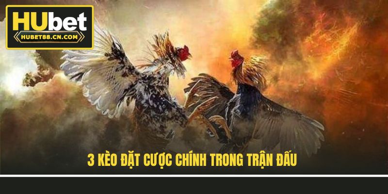 3 kèo đặt cược chính trong trận đấu